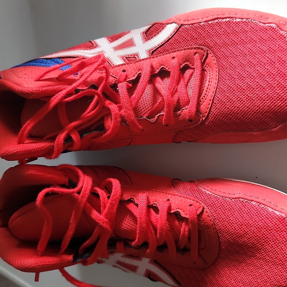 Wrestling shoes